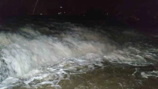 İnci kefalinin dillere destan göçü başladı