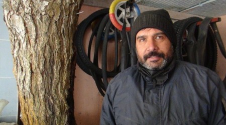 İş yerinin ortasındaki dut ağacı görenleri şaşırtıyor