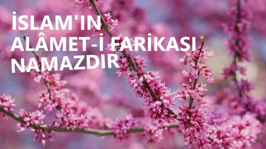 ��sl�m��n al�met-i farikas� namazd�r�