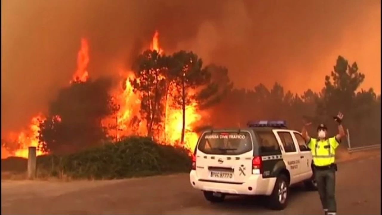 İspanya 14 farklı noktada orman yangını: 7 ölü