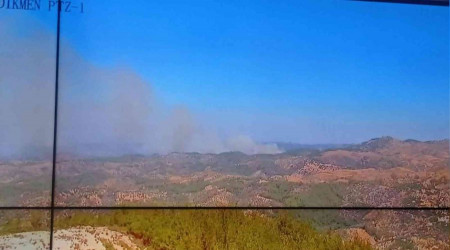 İzmir Seferihisar'da orman yangını