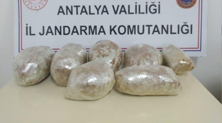 Jandarma bu yıl 563 uyuşturucu operasyonu yaptı
