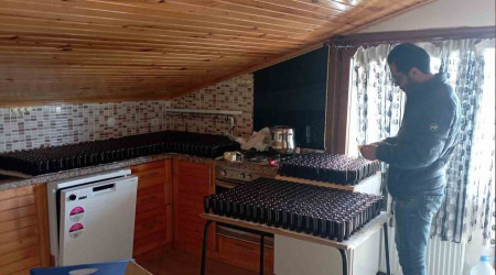 Jandarma'dan kaak rek otu ya operasyonu: Piyasa deeri 8 milyon TL