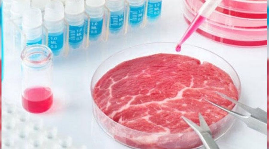 Kanadalı bilim insanları laboratuvarda et üretti
