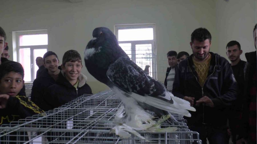 Kapadokya'da s�sl� ku�lar g�r�c�ye ��kt�