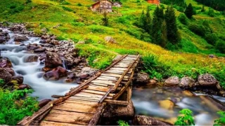 Karadeniz'in sakl cenneti: yidere