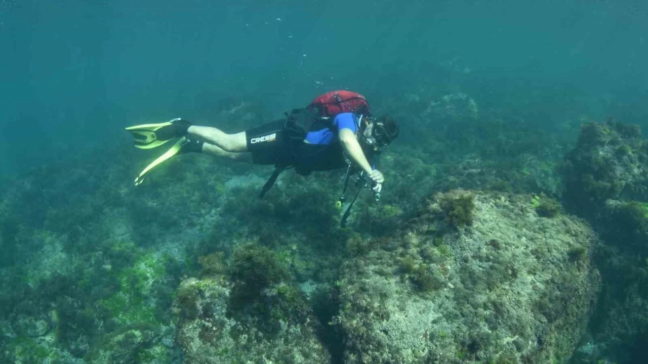 Karadeniz'in su alt gzellikleri kefedilecek