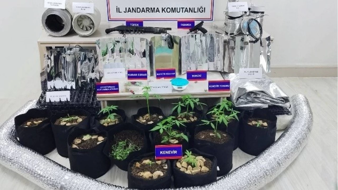 Karaman'da 148 adet tarihi sikke ele geirildi