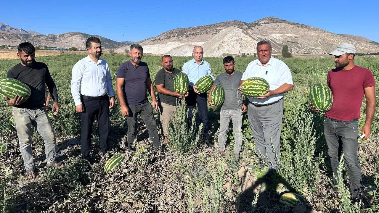 Karpuz tarlada kaldı