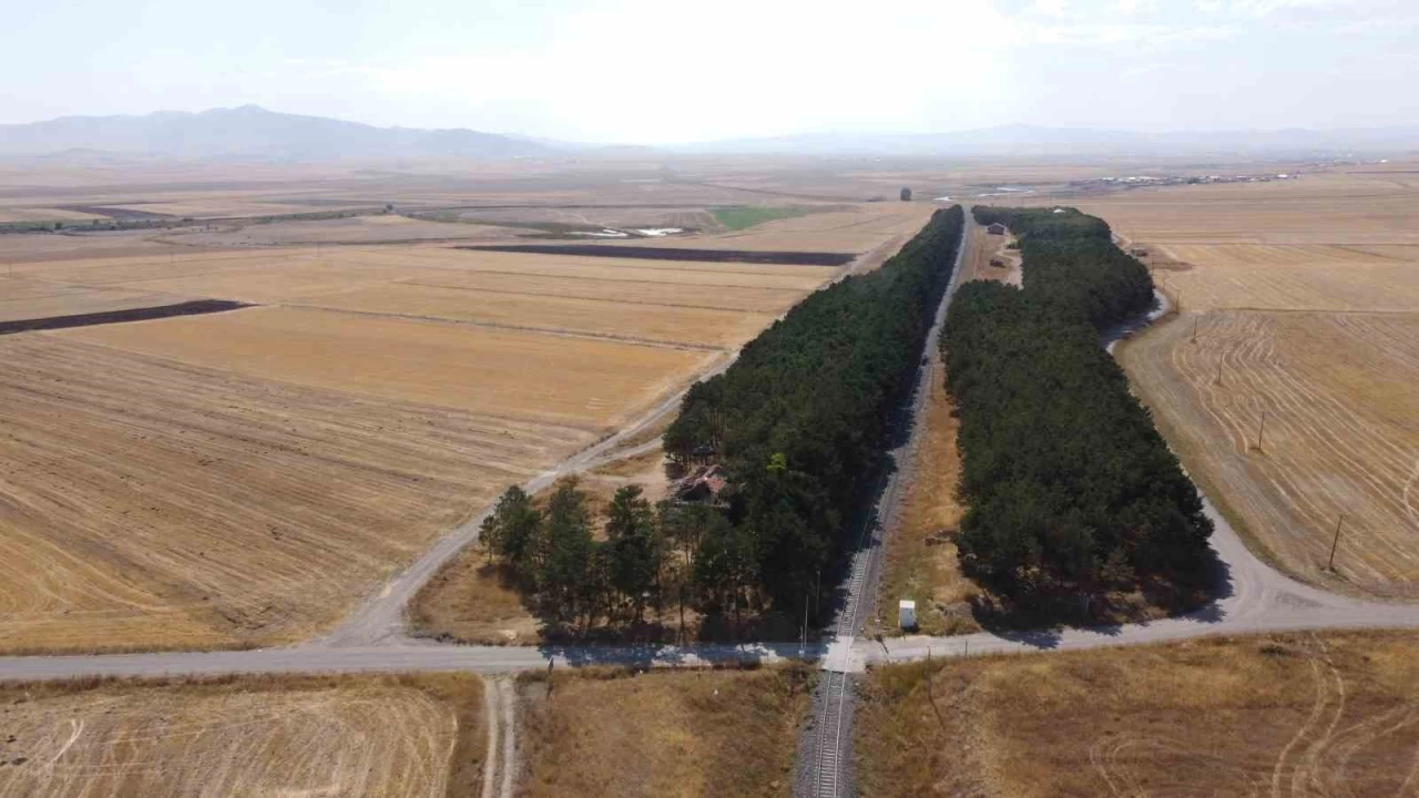 Kars'ta bozkrn ortasndaki vaha havadan grntlendi