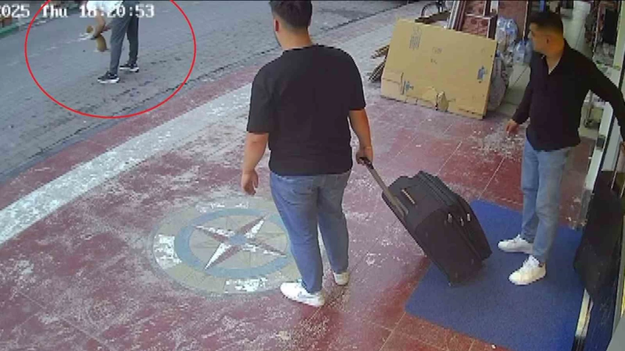 Kediye Heimlich manevrası yaparak hayatını kurtardı...