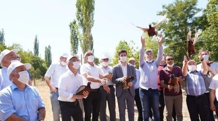 Keneleri yok etmek iin...
