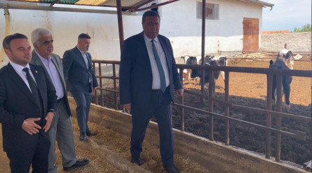 Kesimhanelerden kan değil süt akıyor!