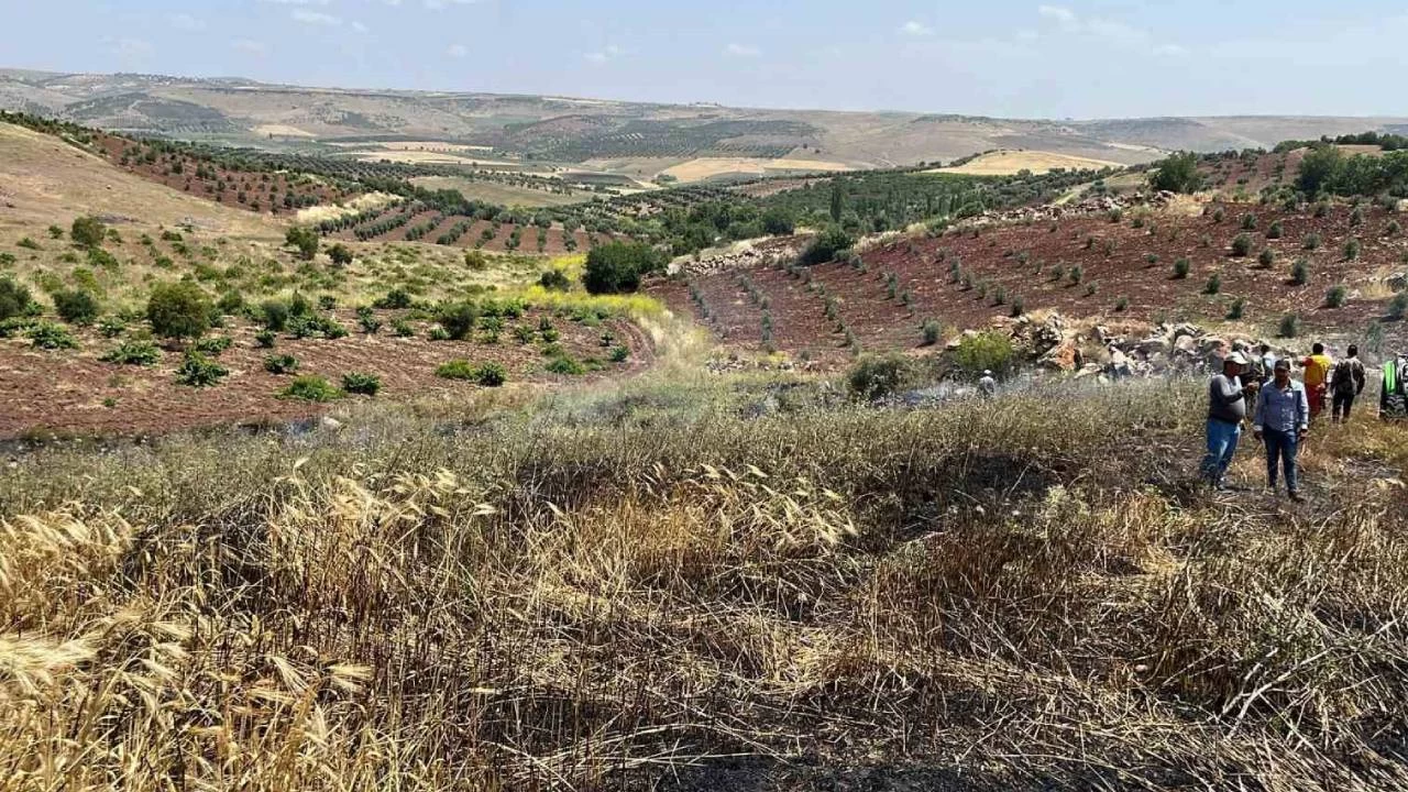 Kilis'te ��kan yang�nda 15 d�n�m alanda ekili bu�day k�l oldu