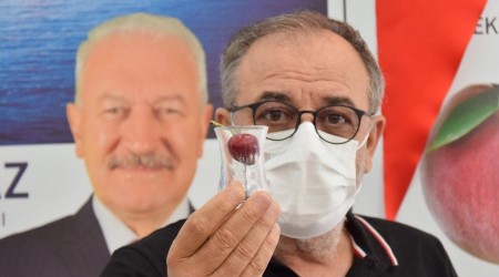 Kiraz ihracatındaki fiyat oyununa üreticilerden tepki