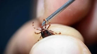 KKKA'ya karşı korunma yöntemleri hayat kurtarır