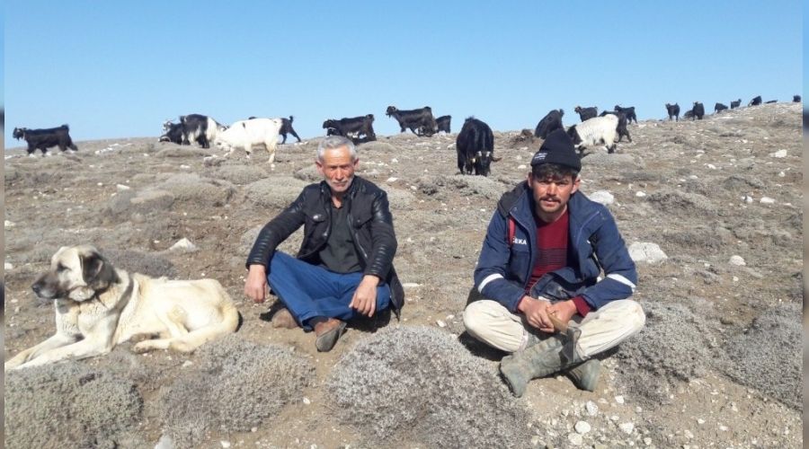 Korona vir�sten uzak bir ya�am