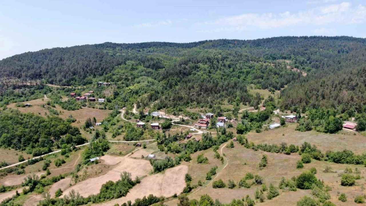 Köydeki evinin bahçesine kendi aquaparkını yaptı