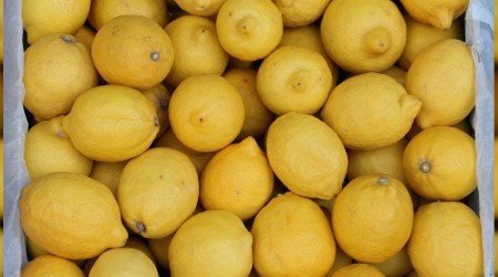 Limon üreticileri endişeli