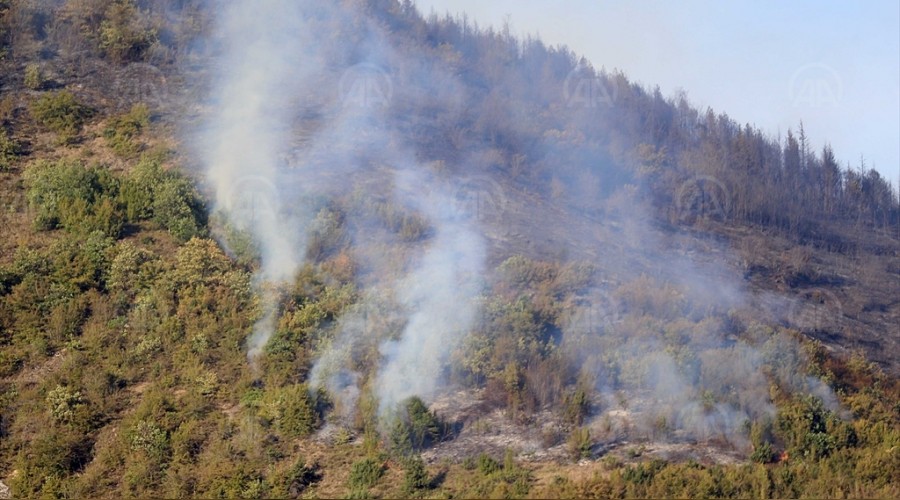 Maçka'da orman yangını