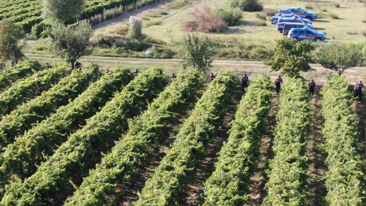 Manisa'da korkunç olay: Çiftçi öldürüldü