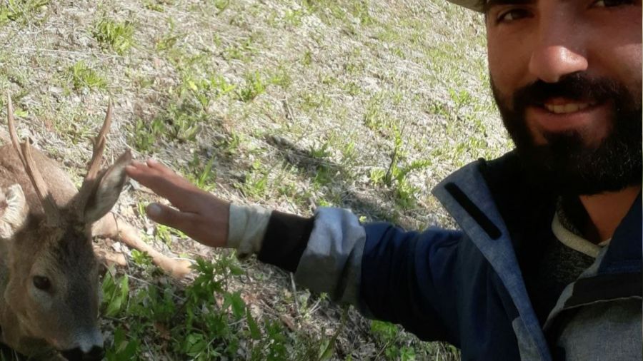 Mantar toplamak için gittiği arazide yaralı karaca yavrusu buldu