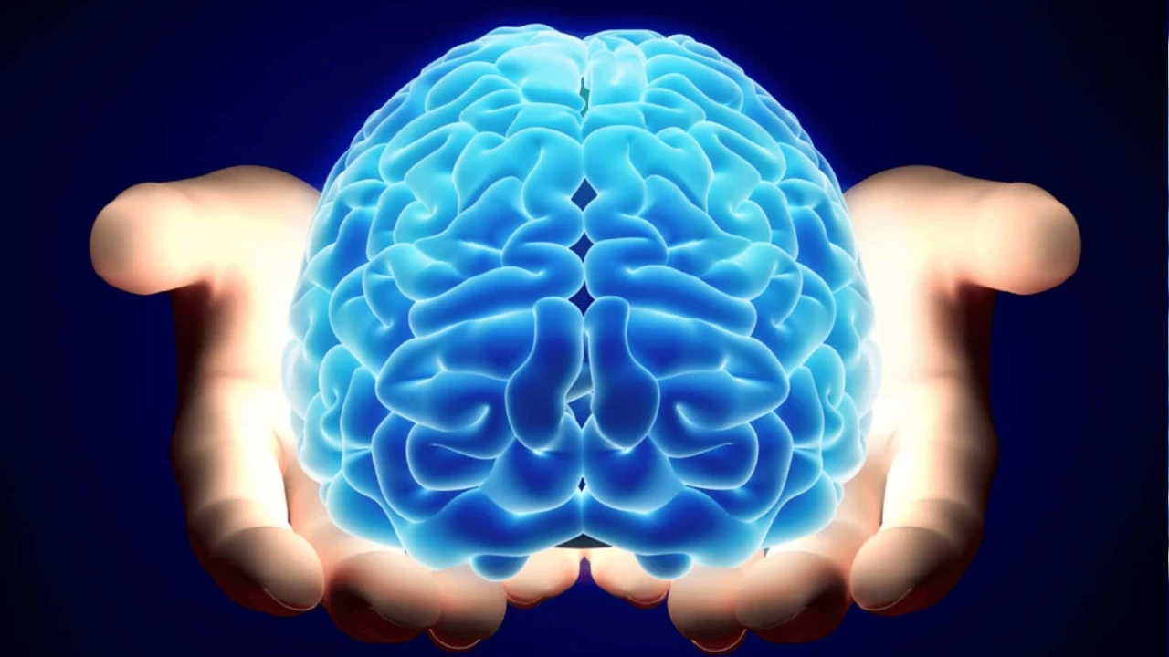 Mantarlar Alzheimer'ın nedeni olabilir