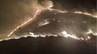 Marmara Adas'nda arazi yangn balad
