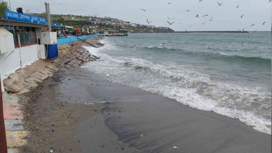 Marmara Denizi ulamna poyraz engeli