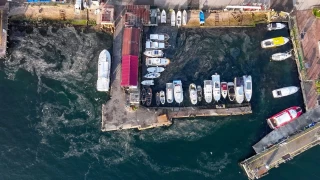 Marmara Denizi'nde müsilaj tehlikesi yeniden başladı