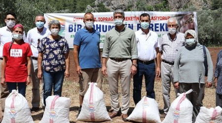 Marmaris Belediyesi'nden çiftçilere tohumluk fıstık