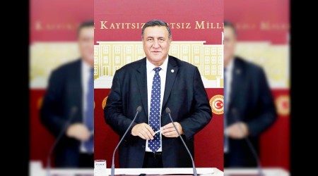 Mavi Balina için tedbirler yetersiz