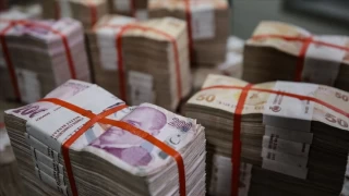 Merkezi ynetim brt bor stoku 11 trilyon 462,4 milyar lira oldu