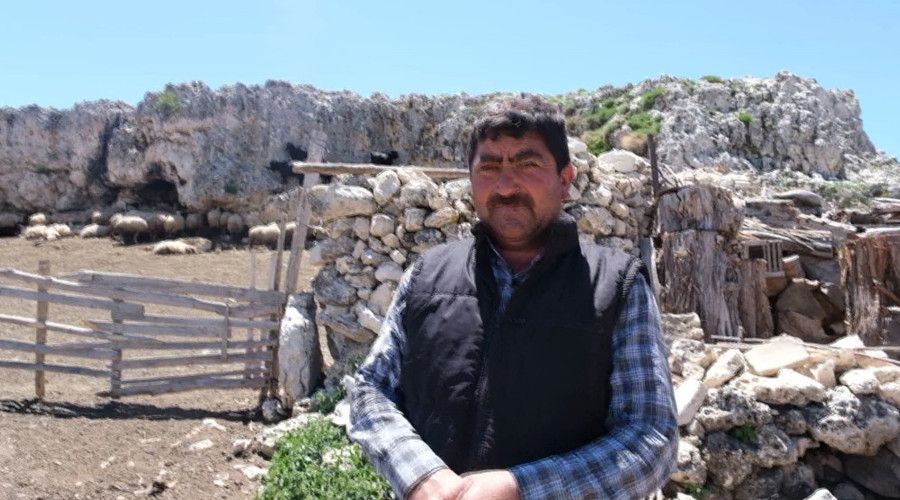 Mersin'de kurtlar�n sald�r�s�na u�rayan 70 k���kba� hayvan telef oldu