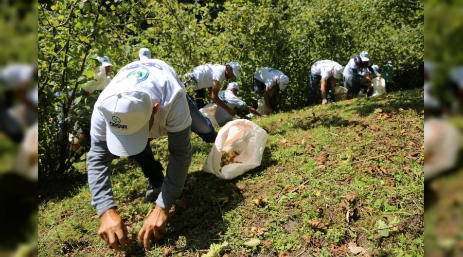 Mevsimlik f�nd�k i��ilerinin �al��ma ko�ullar�