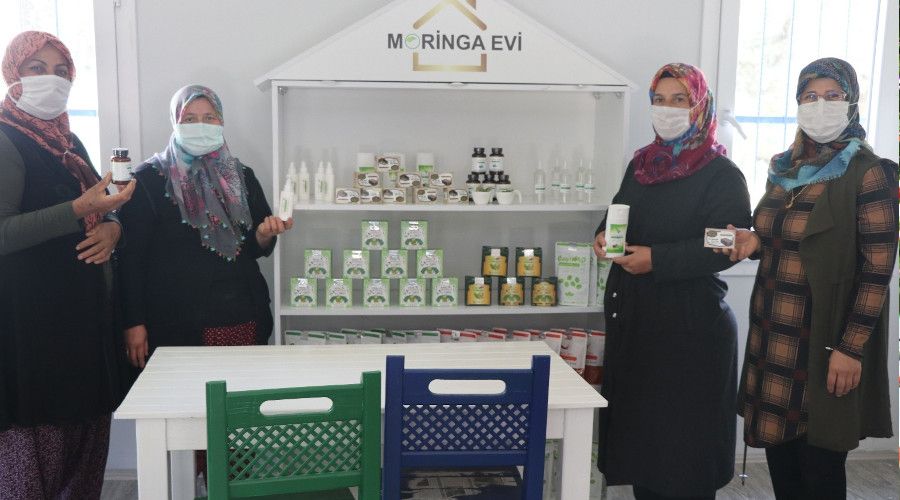Moringa bitkisi sayesinde i kadn oldular
