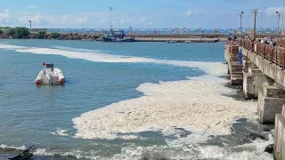 Msilaj Karadeniz'de de yaylmaya devam ediyor