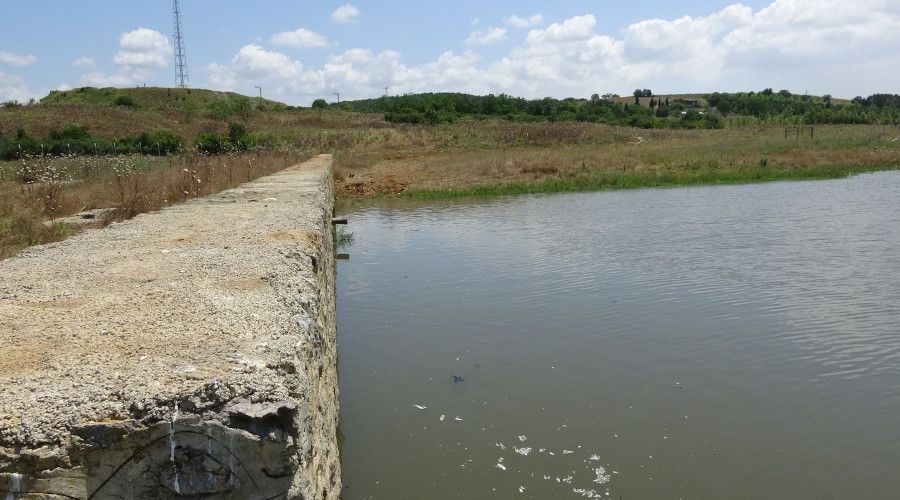 Ömerli Barajında ölen balıklar iş makineleriyle toprağa gömülüyor