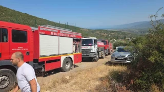 Orhangazi'de orman yangn korkuttu