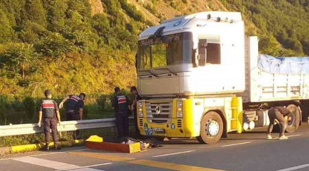 Park halindeki tırın sürücüsü ölü bulundu