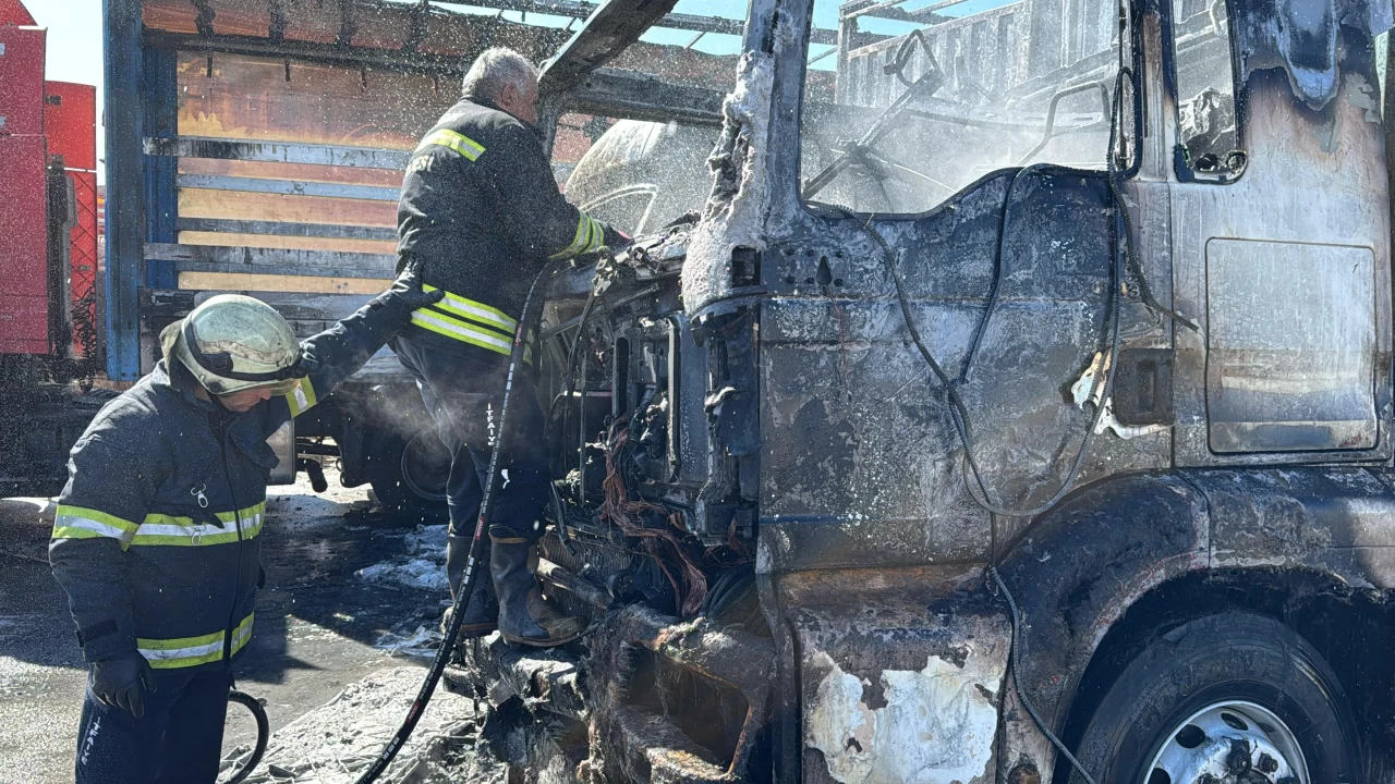 Park halindeki t�rlar k�le d�nd�