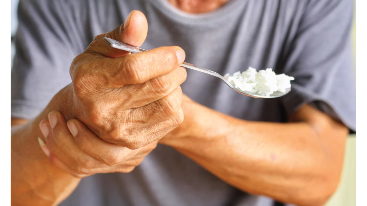 Parkinson Hastalna Kar Umutlu Bir Sava: Doal Bileikler ve Yeni lalar