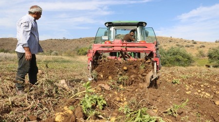 Patates para etmiyor üretici sahipsiz!