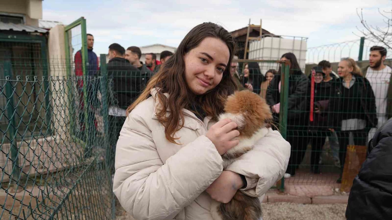 Pati Ya�am K�y�'ndeki hayvanlar�n ziyareti 4 g�ne ��kt�