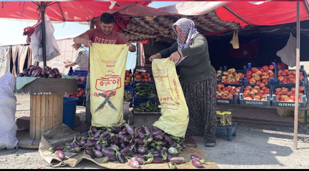 Pijamalı patlıcan üretimi yaygınlaşıyor