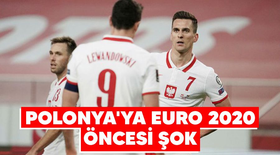 Polonya'ya EURO 2020 �ncesi �ok 