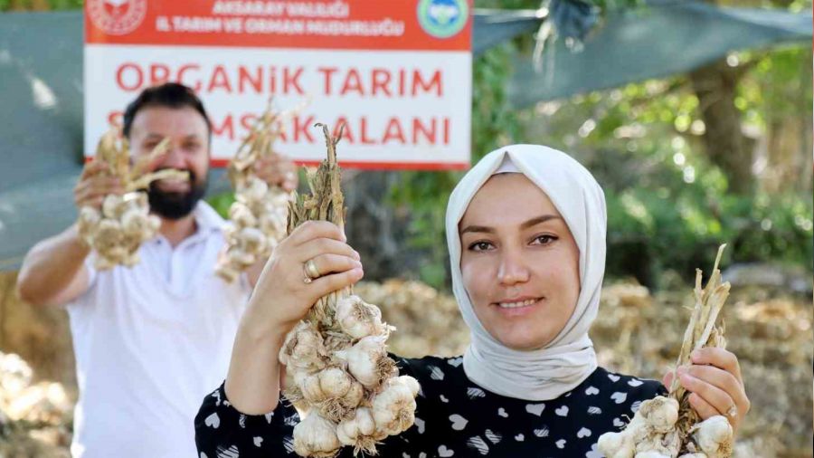 Rusya ve Almanya'nın organik antibiyotiği Aksaray'dan