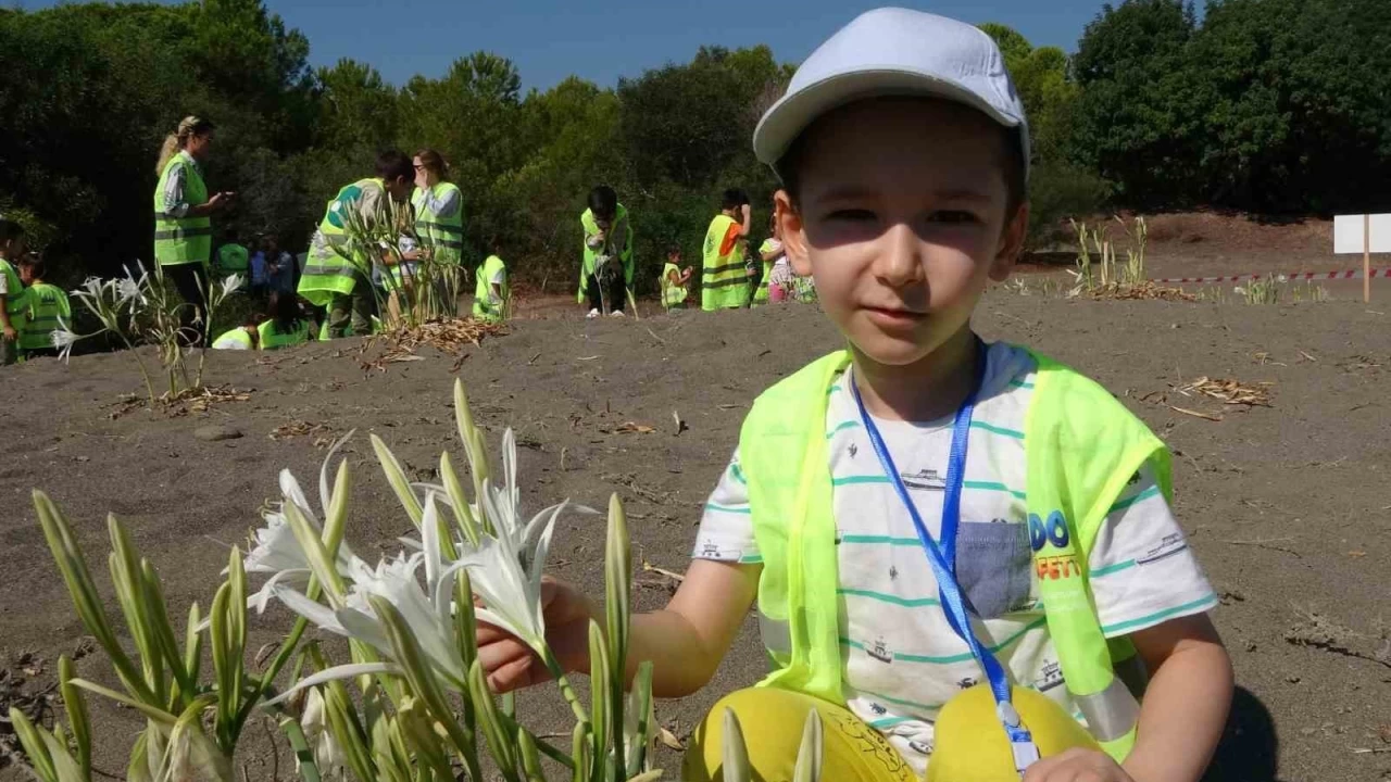 Sahiller kum zambaklarıyla doldu, çocuklar koruma altına aldı