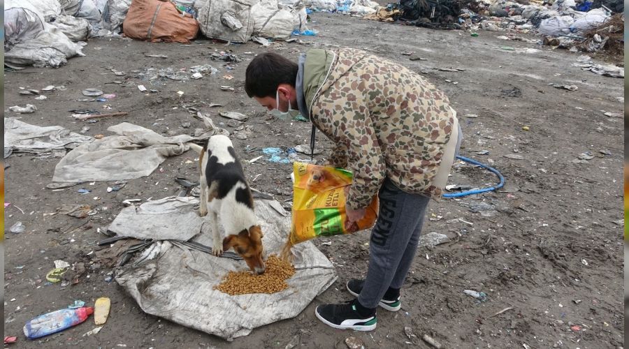 Sahipsiz hayvanlara mama yeti�tirmekte zorlan�yorlar