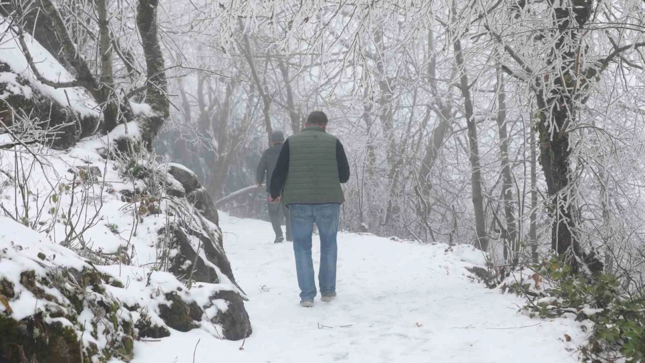 Sakarya'nn Keremali Yaylas'nda k gzellii